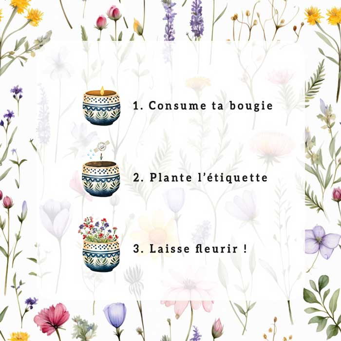 faire fleurir sa bougie parfumée, mode d'emploi